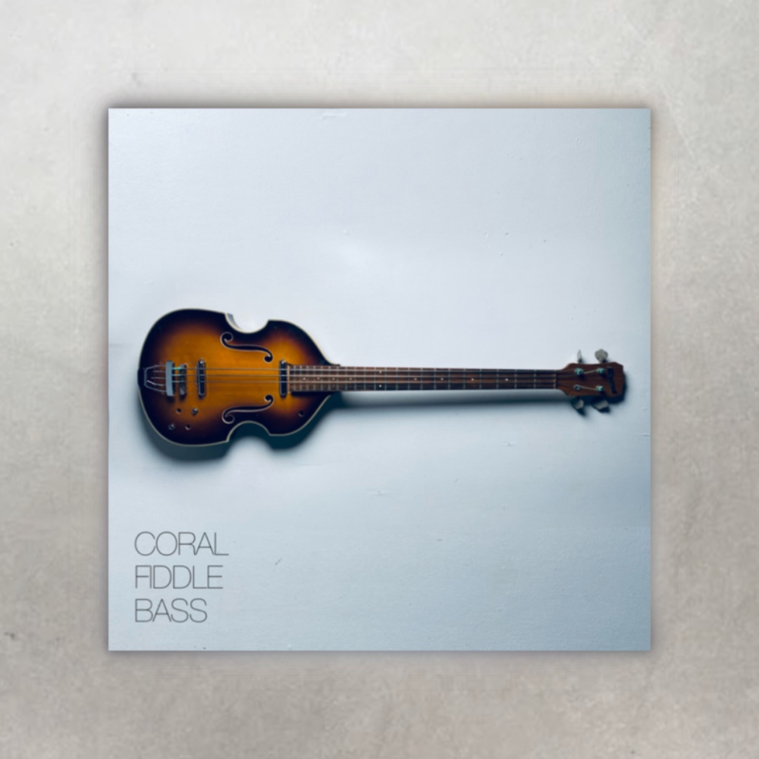 Coral Fiddle Bass
